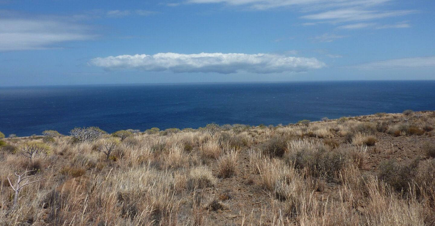 WLG 1058 4 Atlantischer Ozean