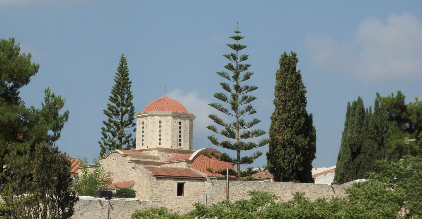 WK 1009 2 Agarathos Kloster zwischen Norfolktanne