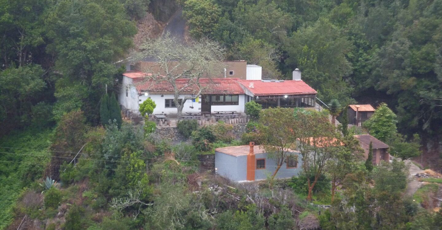 WLG 1041 1 El Cedro