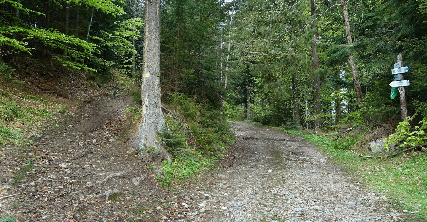 WTA 1019 2 Eine der vielen Weggabelungen auf dieser Wanderung