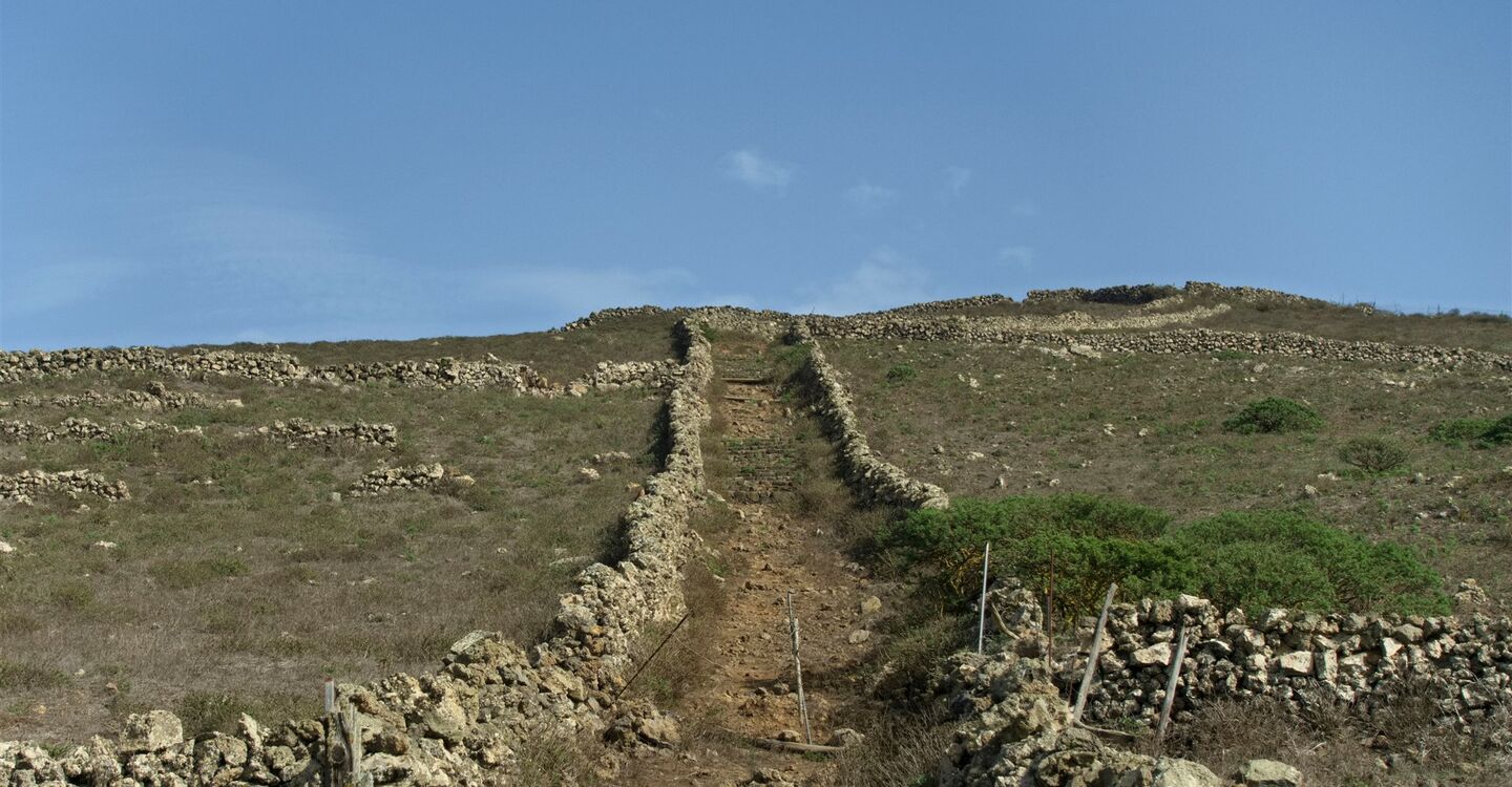 WEH 1015 5 beeindruckende Caminos auf der La Dahesa Hochebene