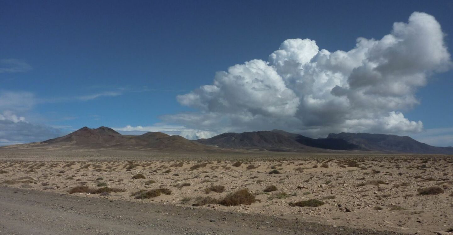 WFF 1062 5 FFuerteventura links die Montaña Las Talahijas