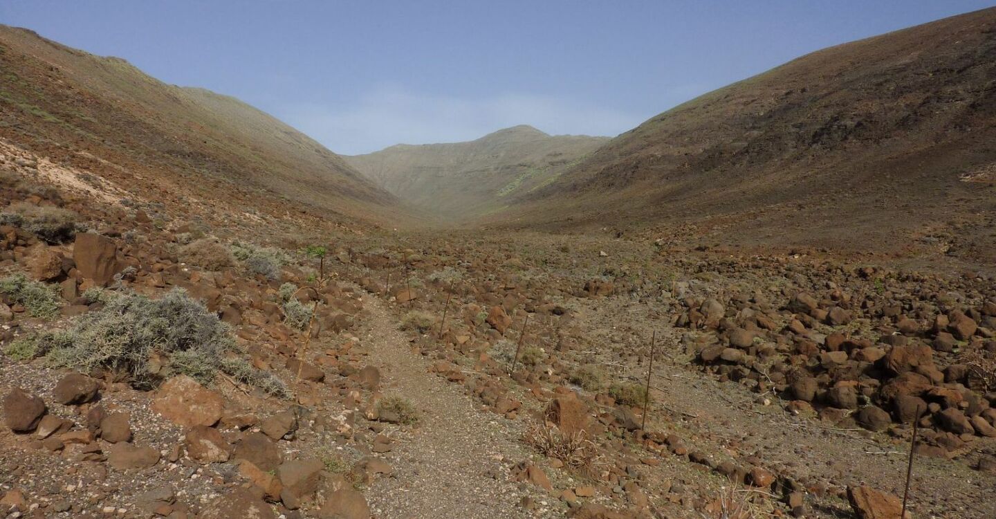 WFF 1066 1 Fuerteventura Aufstieg im Barranco