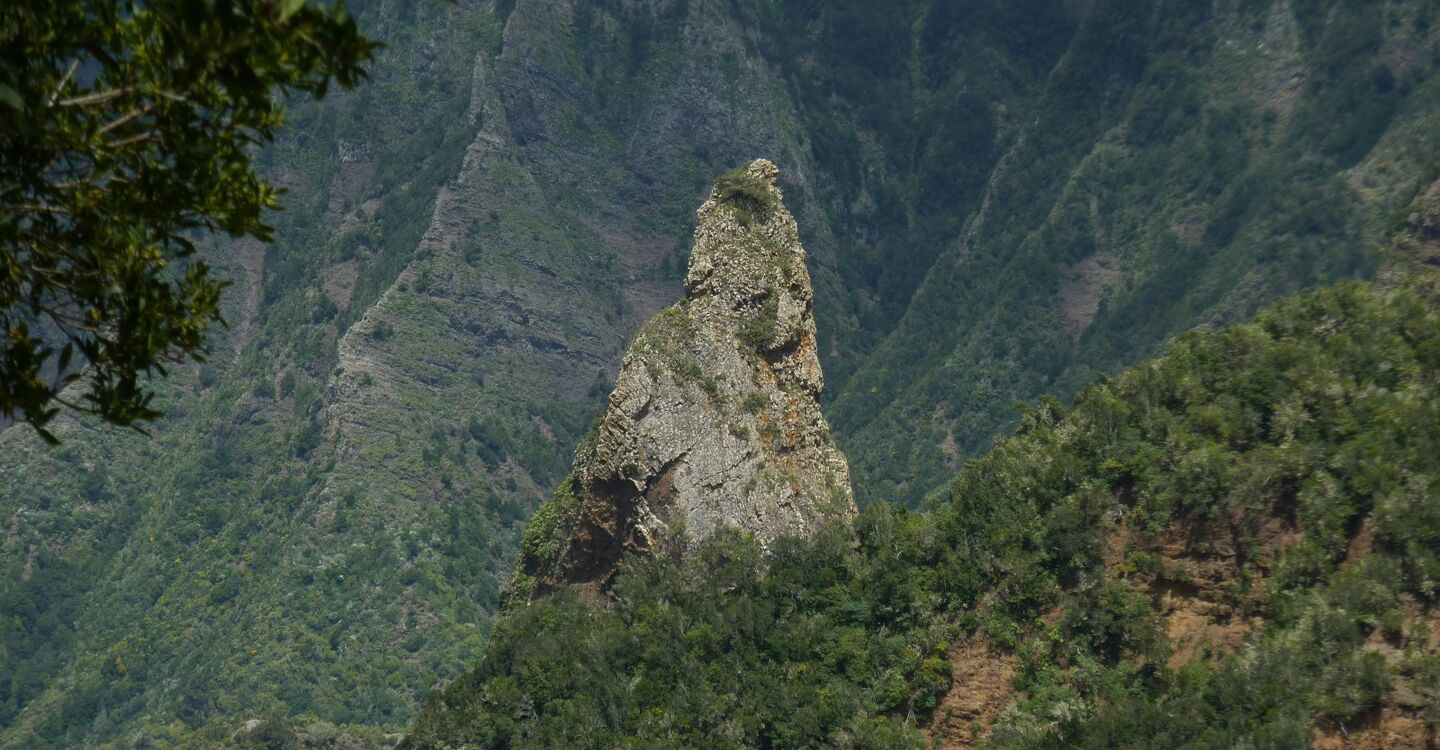 WLG 1040 2 Roque El Rejo Blick