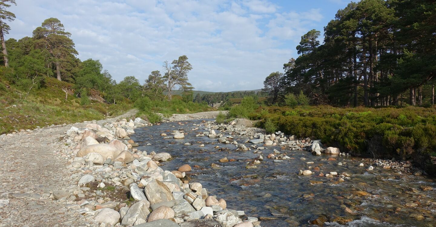 WSCH 1054 2 Quoich Water