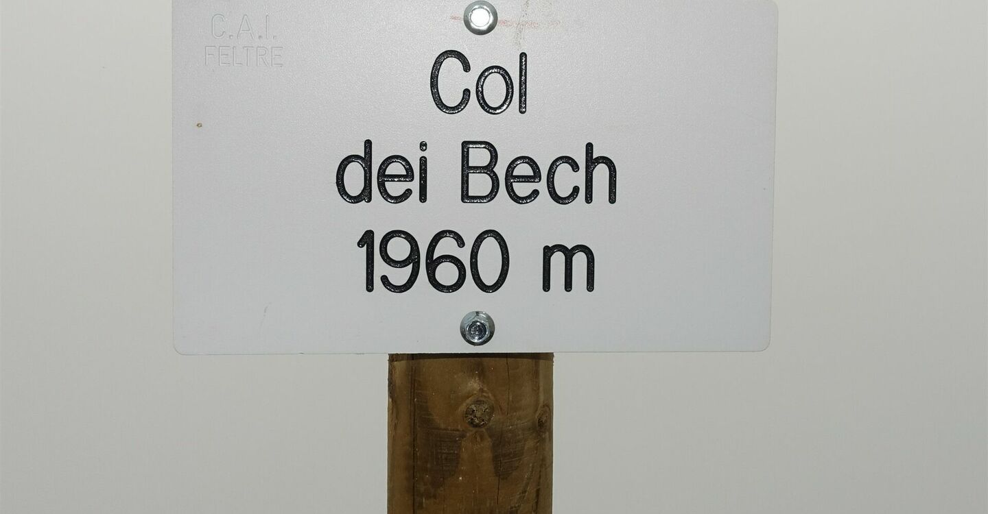 WKB2 1047 3 Wegweiser sind im Nebel sehr hilfreich.