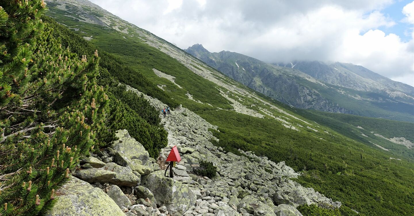 WTA 1050 3 Rázcestie pod Suchým vrchom (1743 m)