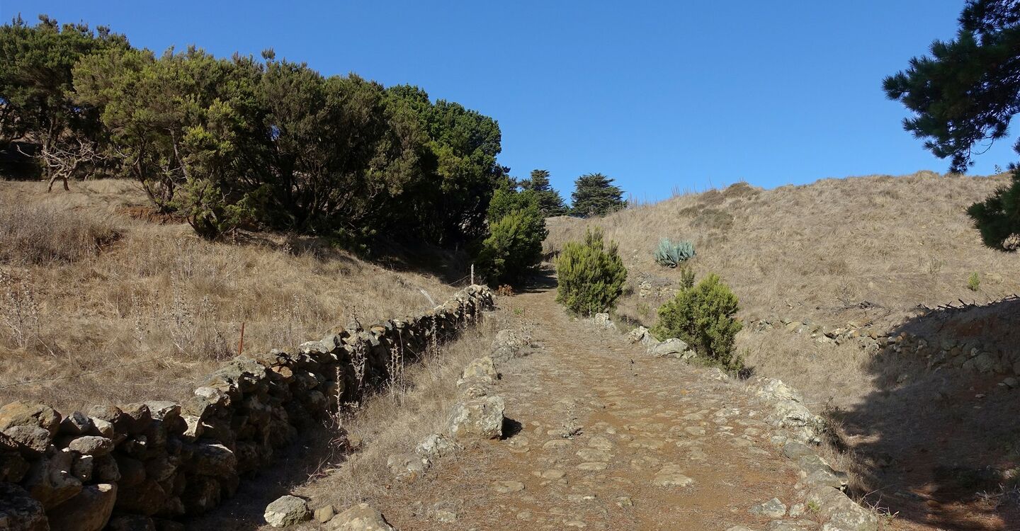 WEH 1036 2 Camino von Tinor nach San Andres(2)