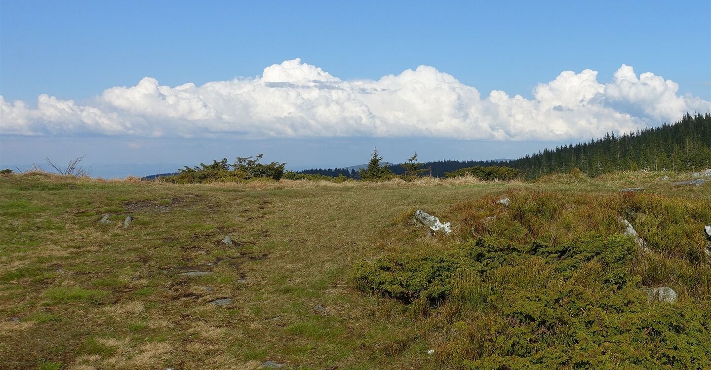 WTA 1024 3 Zadna hola (1619 m)