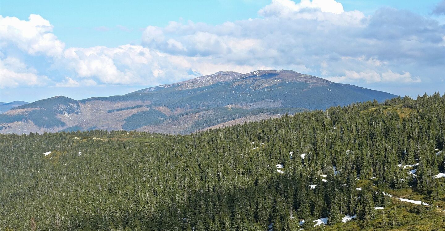 WTA 1025 3 entlang des Bergrückens der Niederen Tatra schaut man auf den Berg Orlova (1840 m)