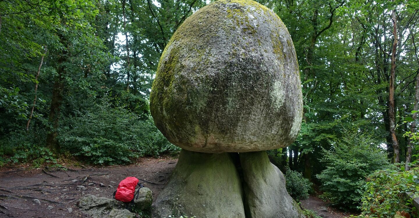 WB 1027 2 Le Champignon