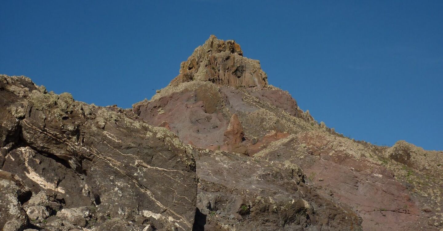 WFF 1043 3 FFuerteventura Naturdenkmal Montaña Cardón