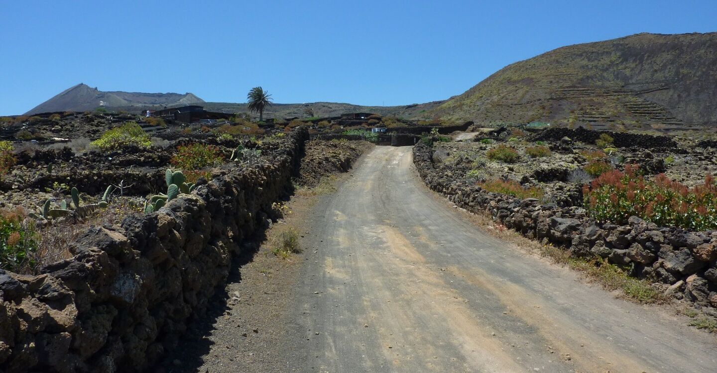 WL 1004 3 Lanzarote 29.193967 -13.460733 Las Hoyas 193 m