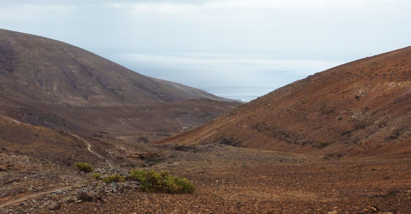 WL 1048 1 Lanzarote 28.9062 -13.773267 im Barranco de la Higuera 03
