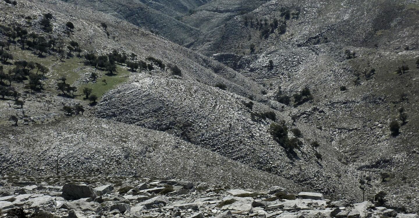 WRH 1034 4 Blick in den Canyon