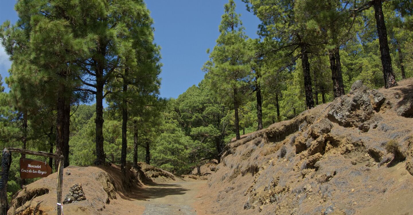 WEH 1011 1 am Ausgangspunkt der Wanderung amMercadel Cruz de Los Reyes