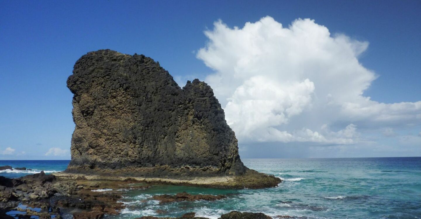 WFF 1061 5 FFuerteventura Roque de Moro