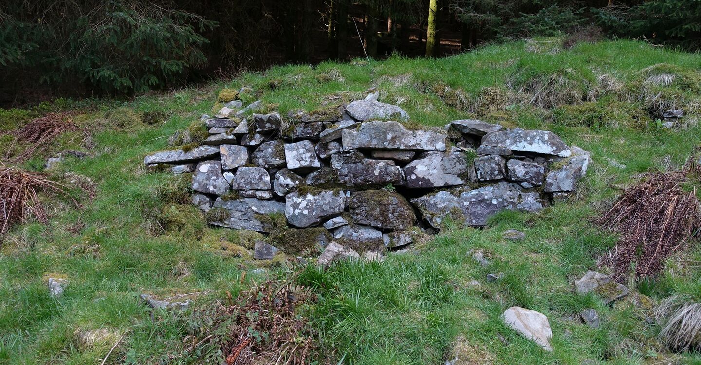 WSCH 1007 4 Iron Age Fort