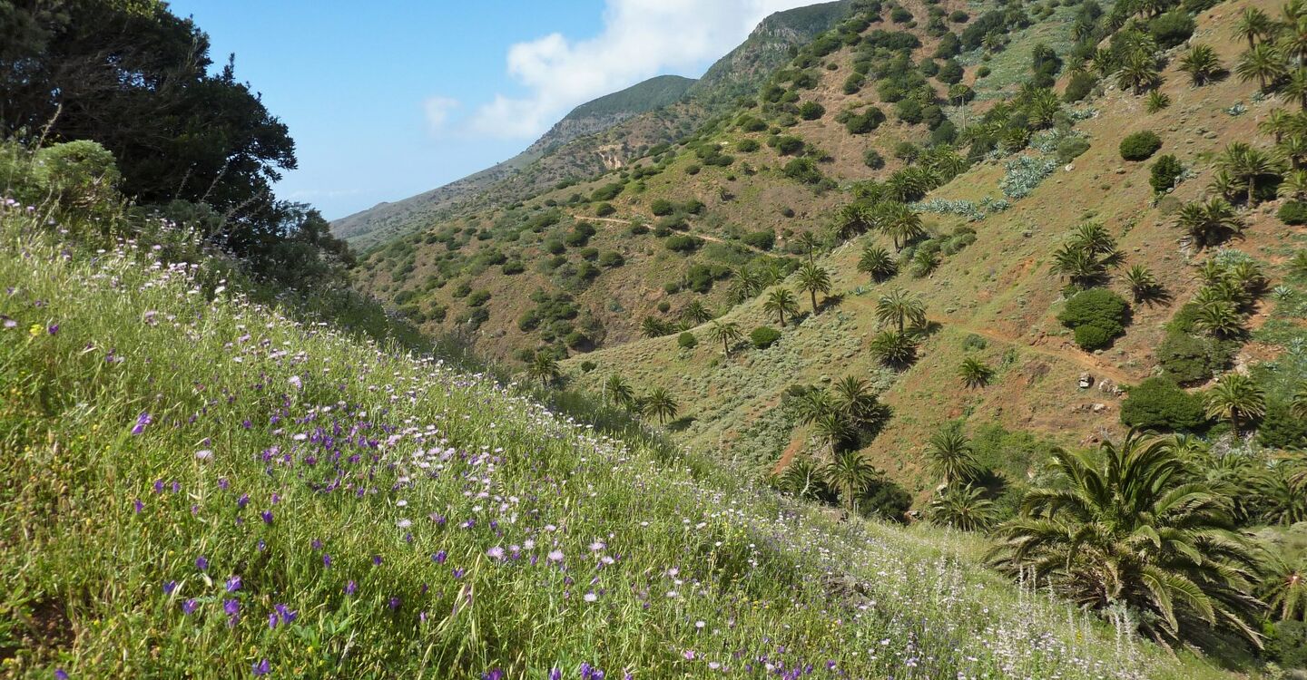 WLG 1023 5 Wanderweg kurz vor Epina