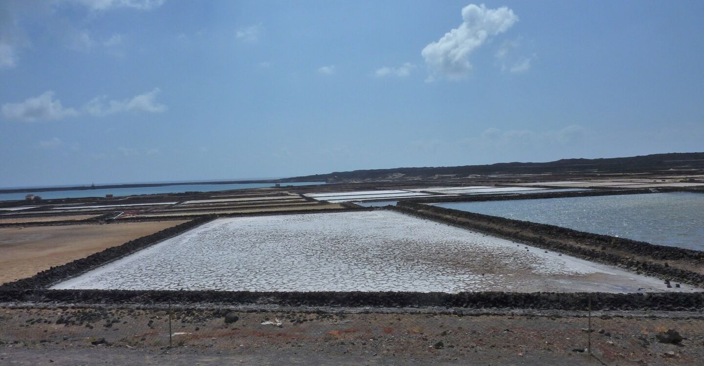 WL 1059 1 Lanzarote 28.936217 -13.818917 Salinas del Janubio