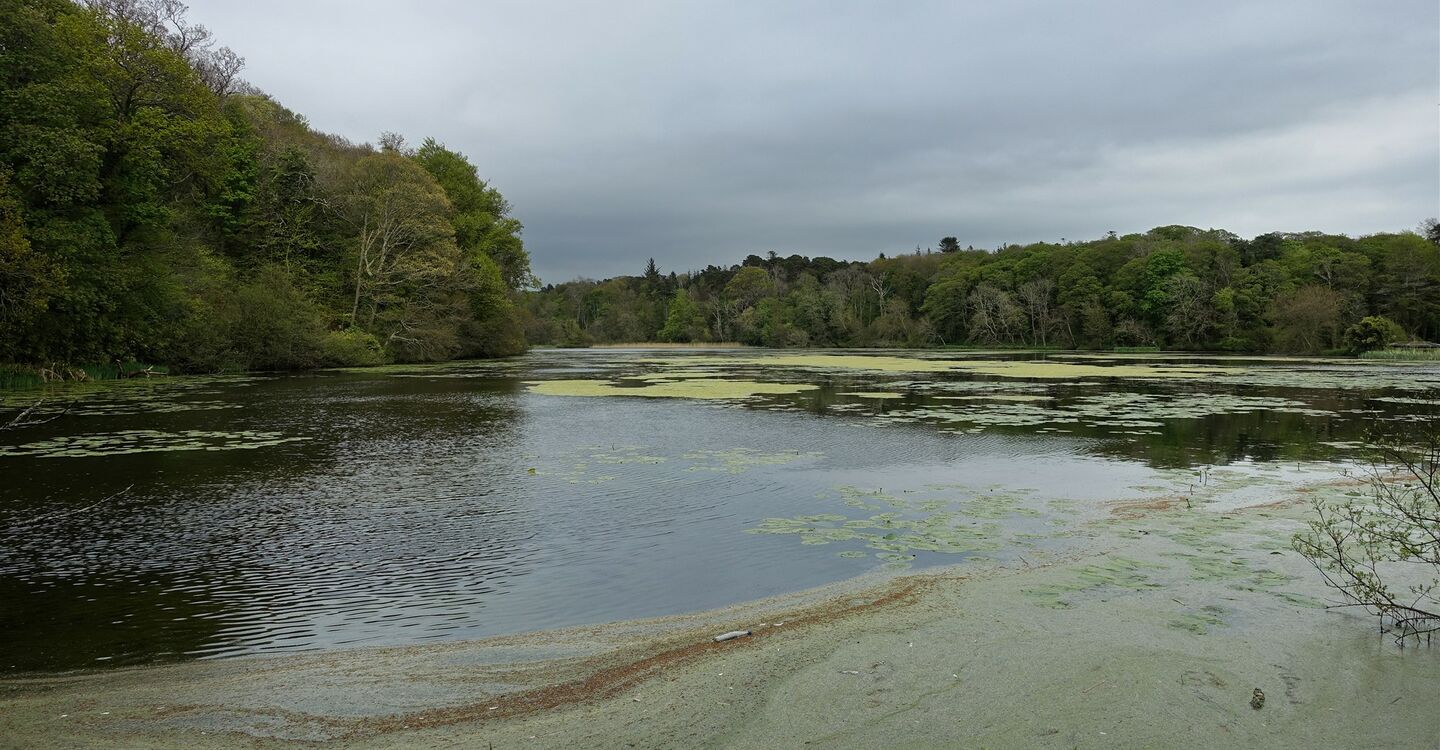 WSCH 1005 2 Swan Pond