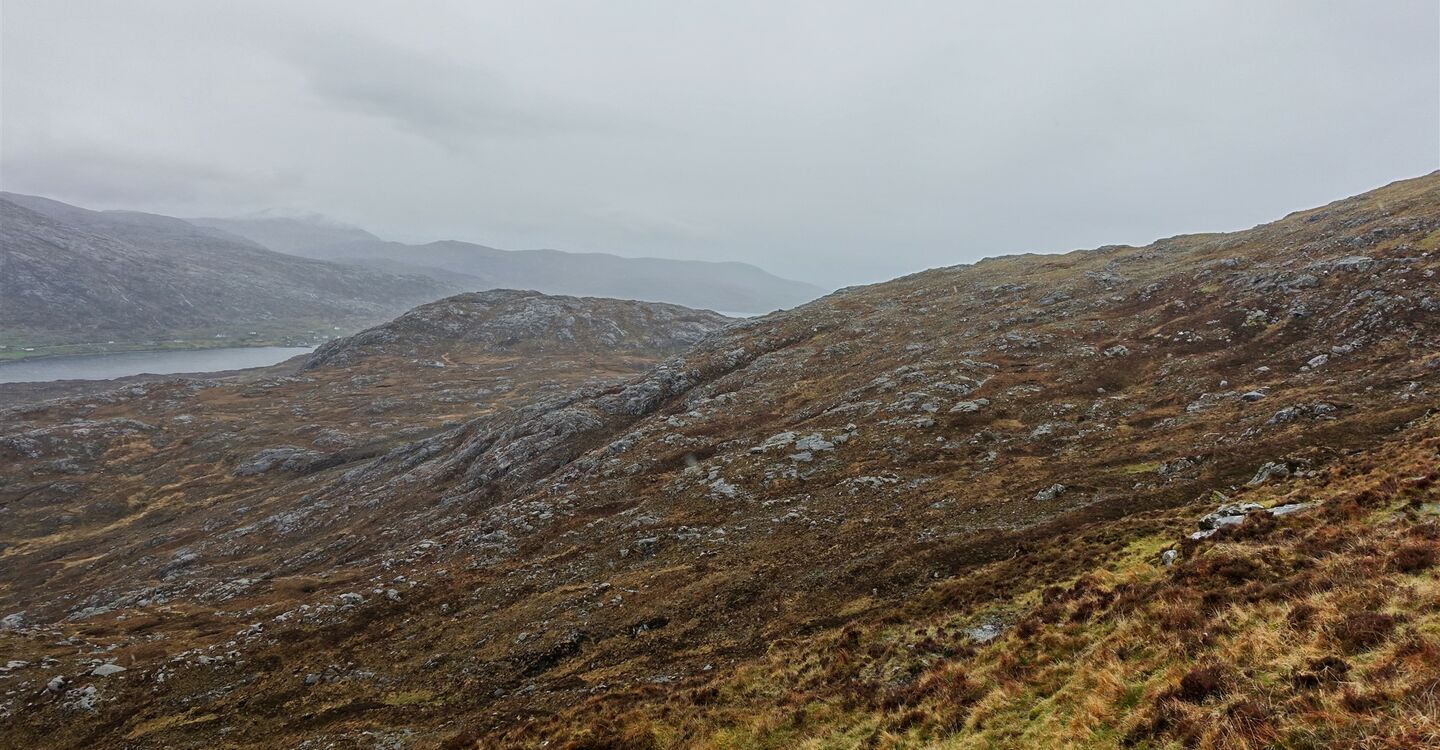 WSCH 1027 4 Ceann Reamhar