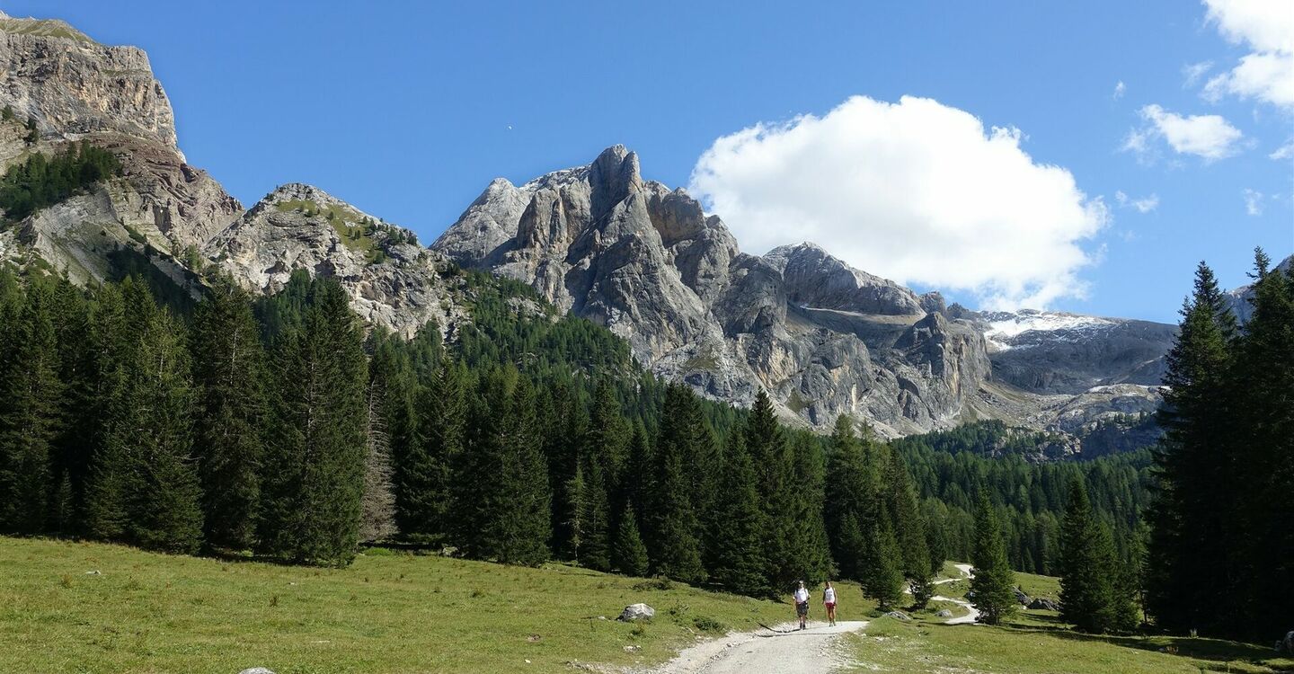 WKB2 1038 4 Der Wanderweg durch das Val Contrin zum gleichnamigen Rifugio.