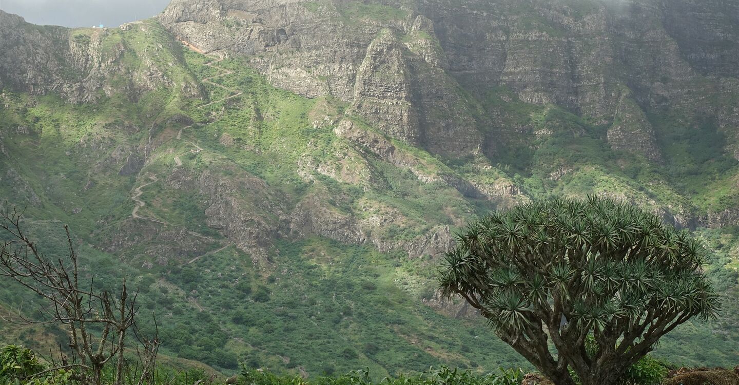 WKB 1048 1 Der Aufstieg vom kleinen Ort Fajã de Cima gesehen