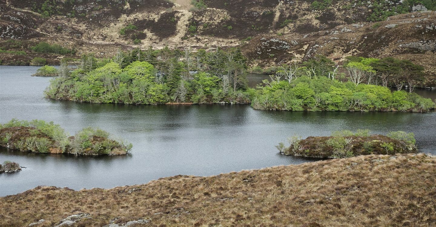 WSCH 1018 5 Loch na Bairness