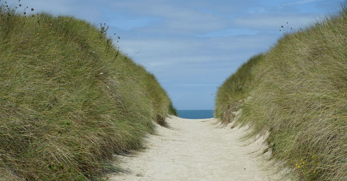 WB 1037 1 Pfad vom Parkplatz zum Strand