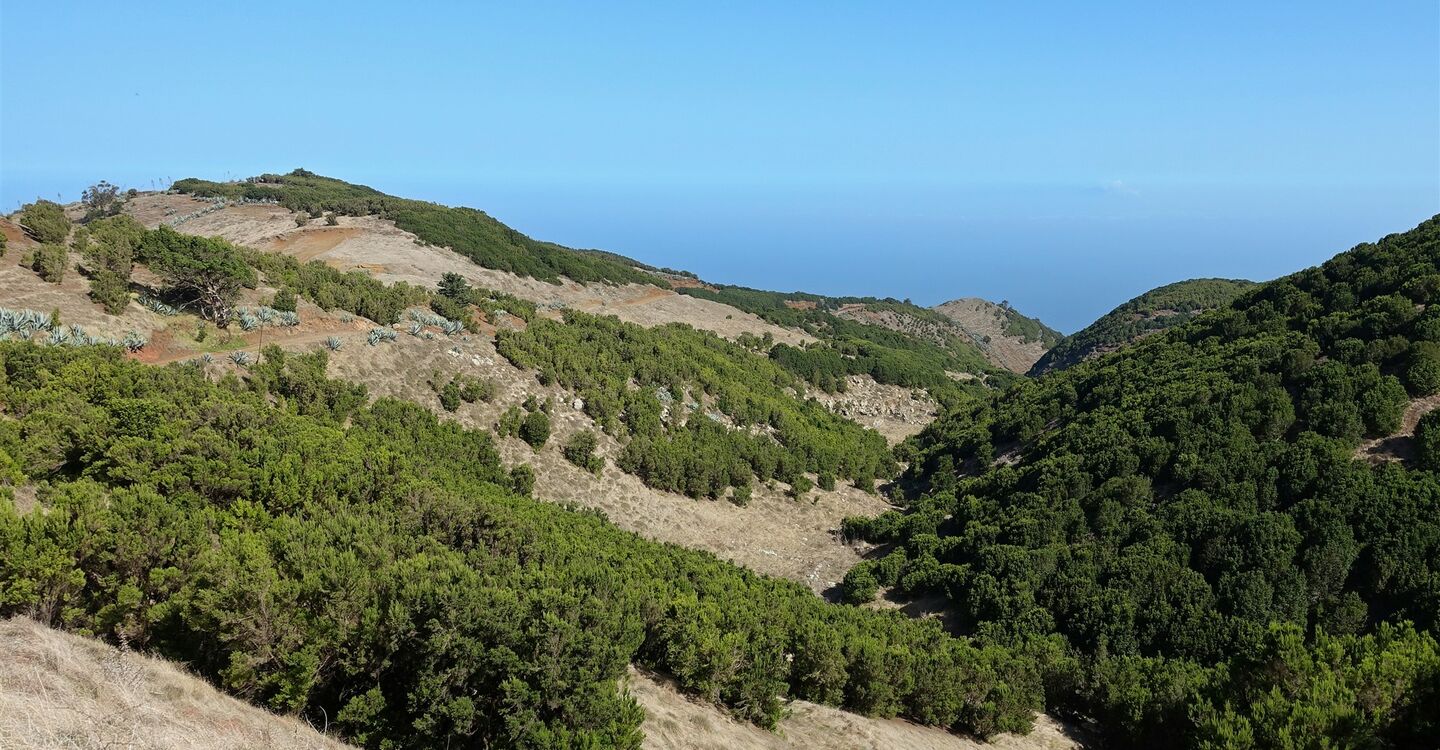 WEH 1041 3 Blick vom Arbol Garoe in die umliegende Bergwelt
