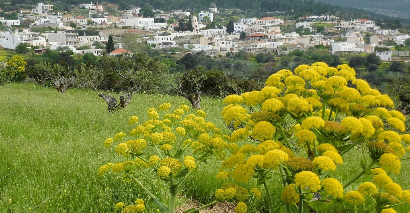 WRH 1040 1 Monolithos