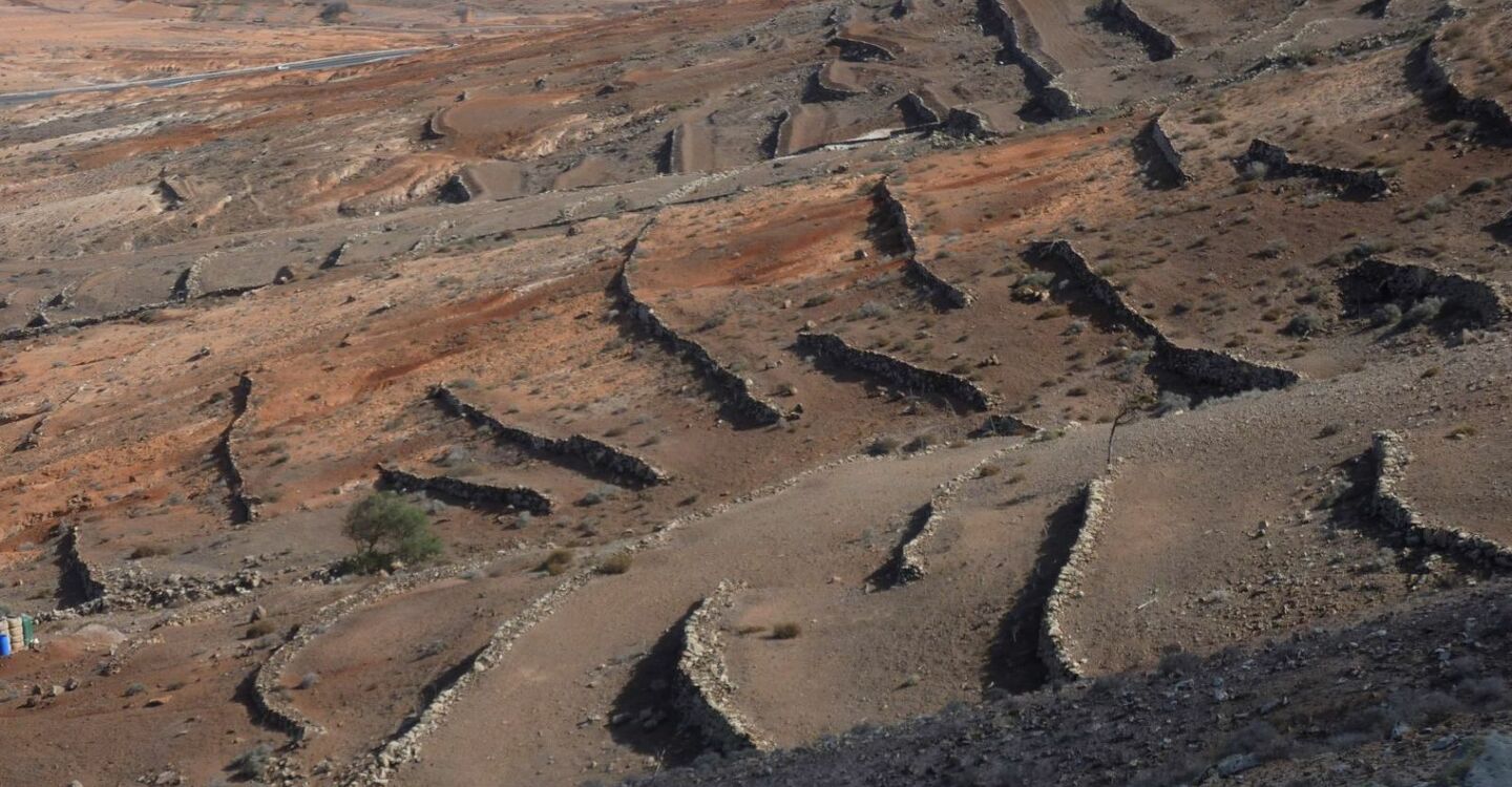 WFF 1014 4 FFuerteventura Wanderungen TerrassenFFelder unterhalb des Cerco de Aceitunal