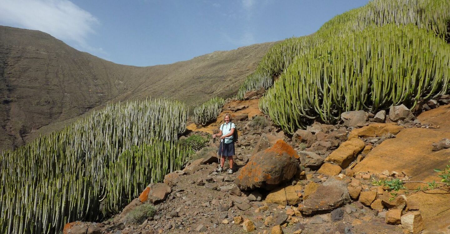WFF 1066 2 Fuerteventura Kanaren Wolfs mich