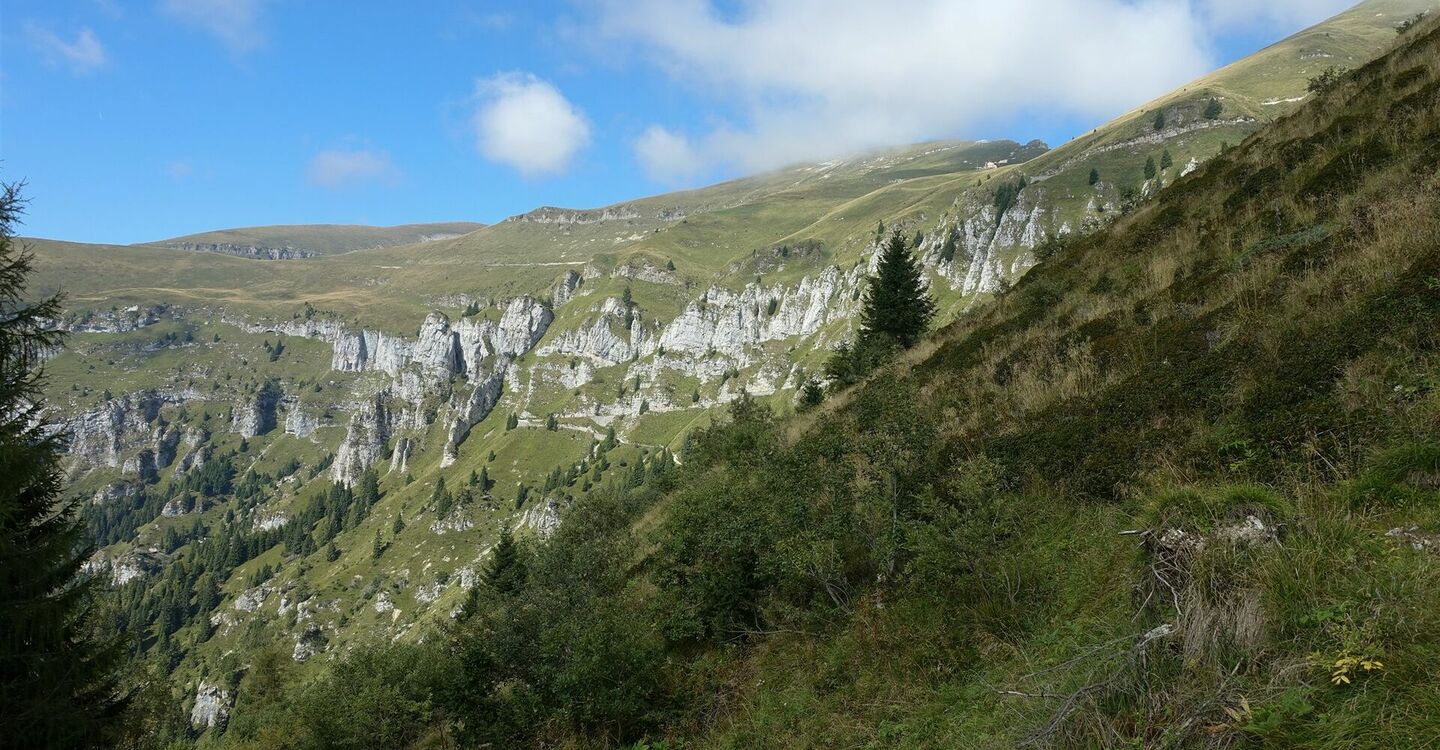 WKB2 1049 3 Der Nationalpark Belluneser Dolomiten präsentiert sich.