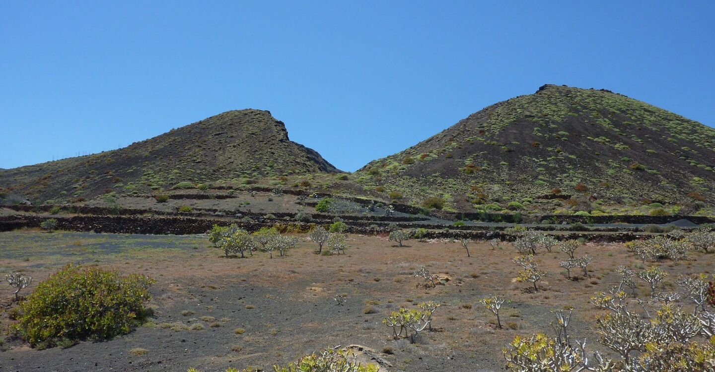WL 1004 1 Lanzarote 29.197633 -13.461017 La Quamada de Orzola