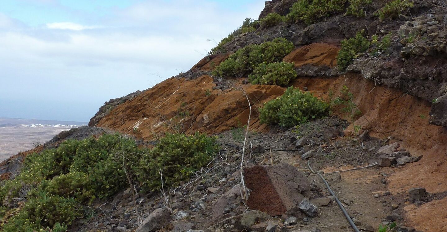 WL 1048 5 Lanzarote 28.901617 -13.779317 das hellbraune Gestein