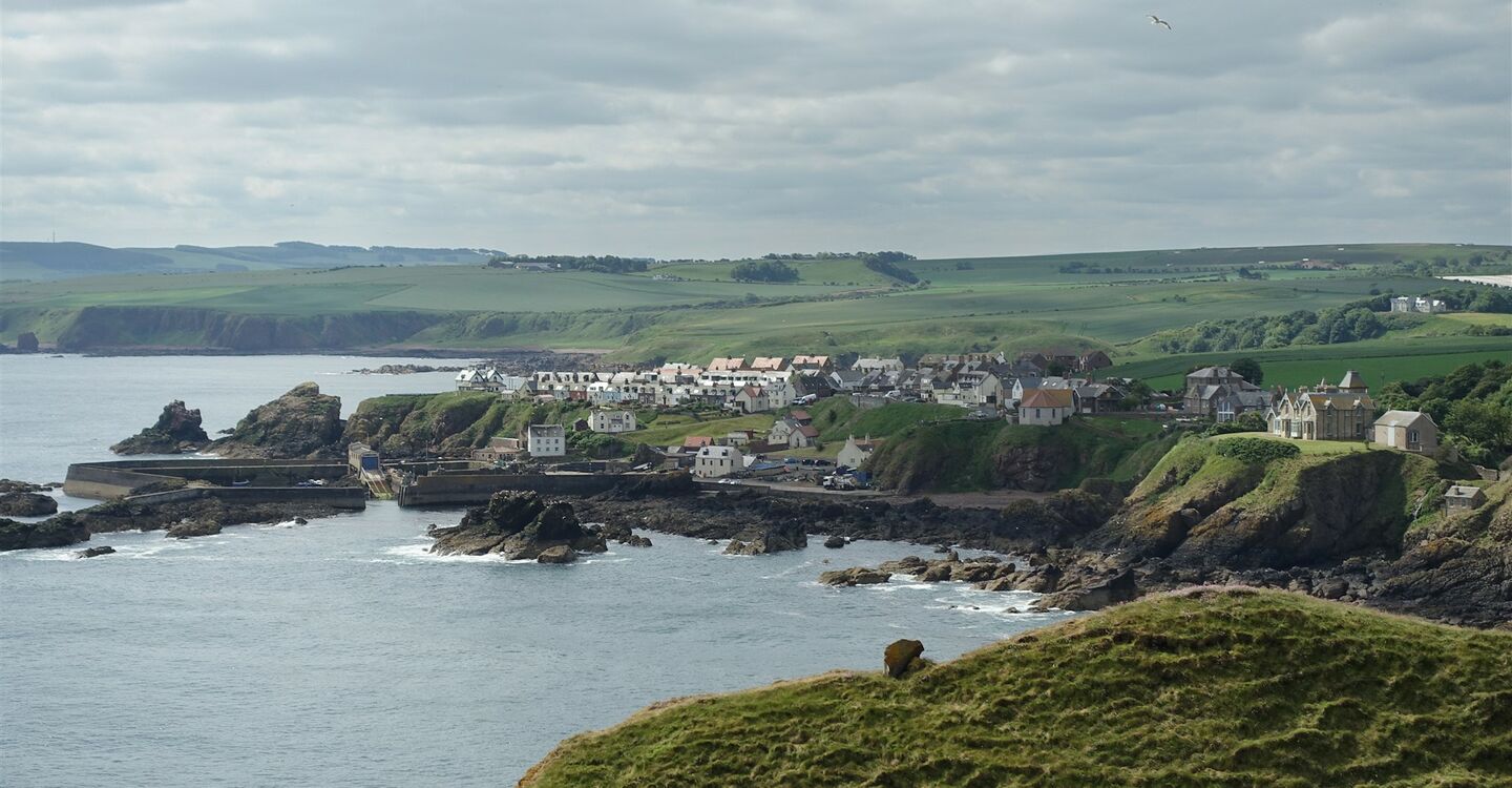 WSCH 1058 2 Blick auf St. Abbs`s