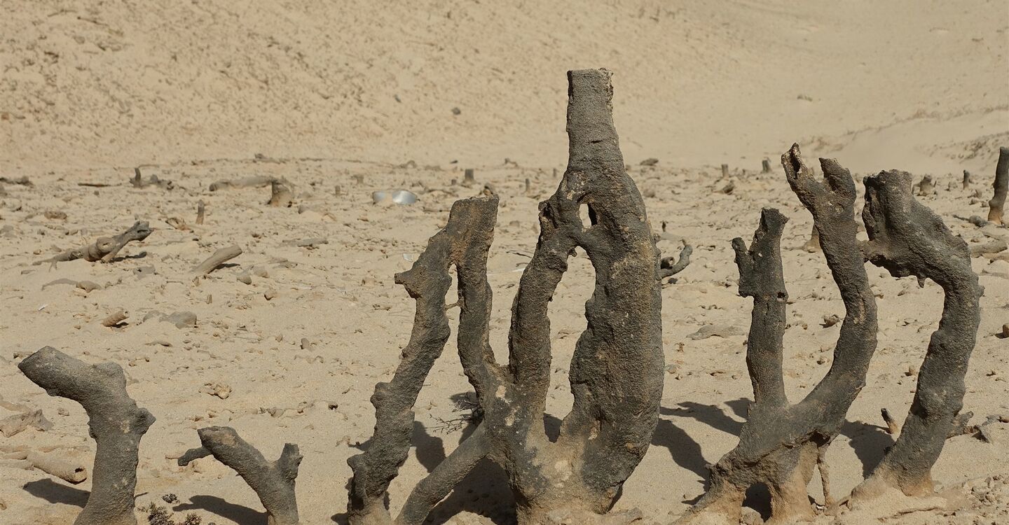 WKB 1068 3 Bizarre Sandgesteinskulpturen kurz vor dem 40 m breiten Trockenbachbett Abrolha