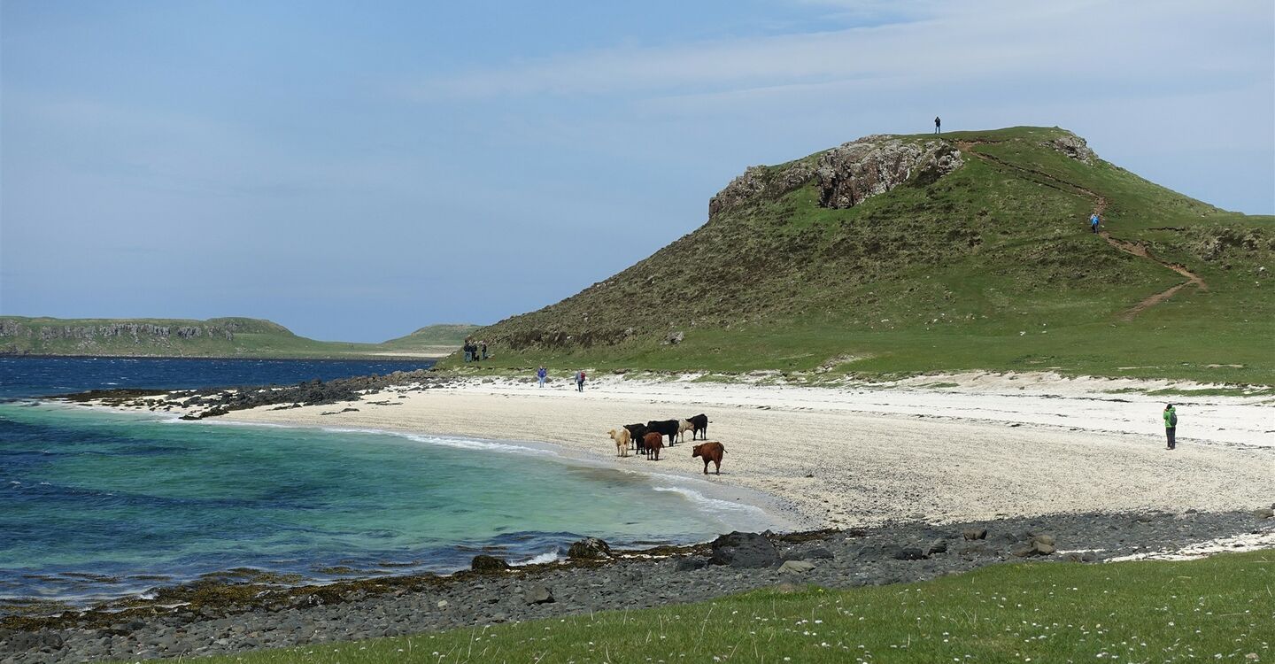 WSCH 1024 4 Coral Beach