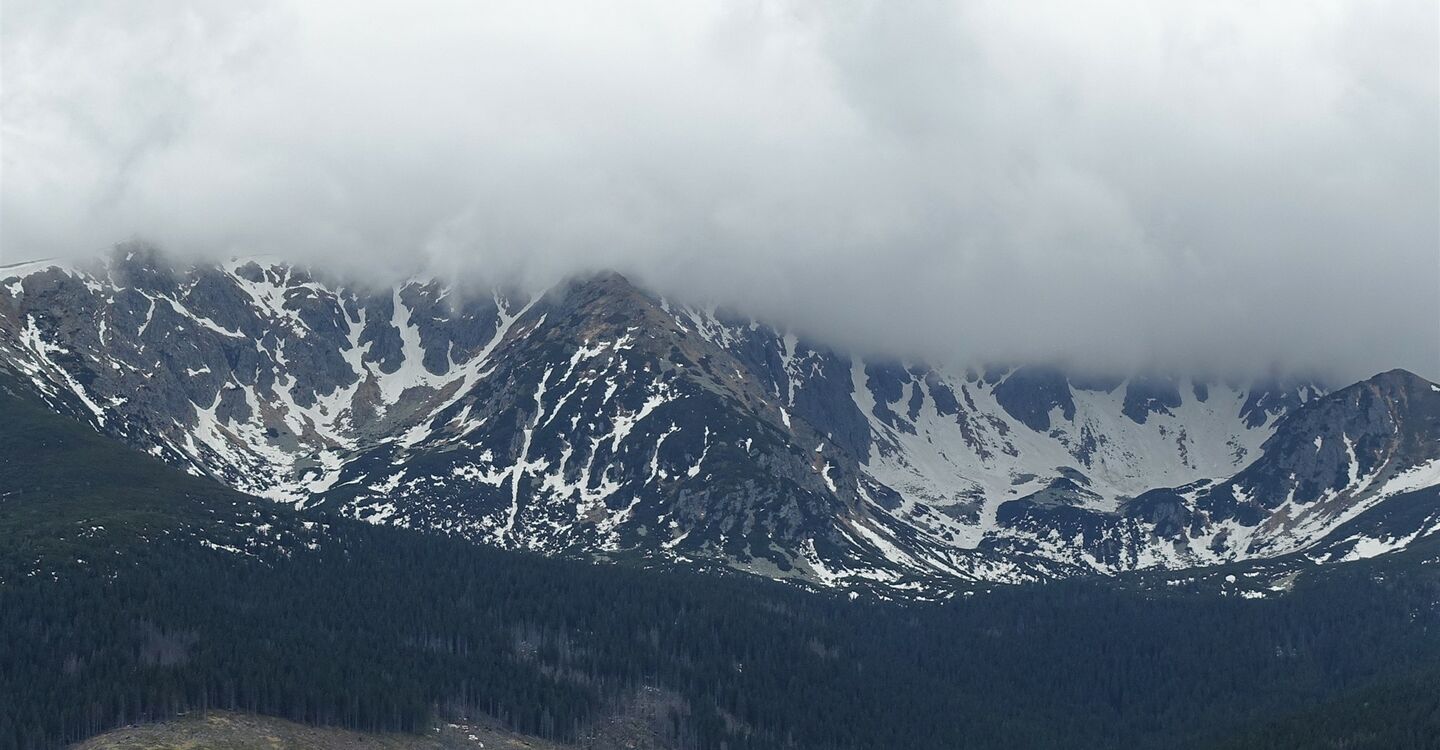 WTA 1010 2 Von der Wegekreuzung schaut man auf die eingegeben den Gipfel der Niederen Tatra