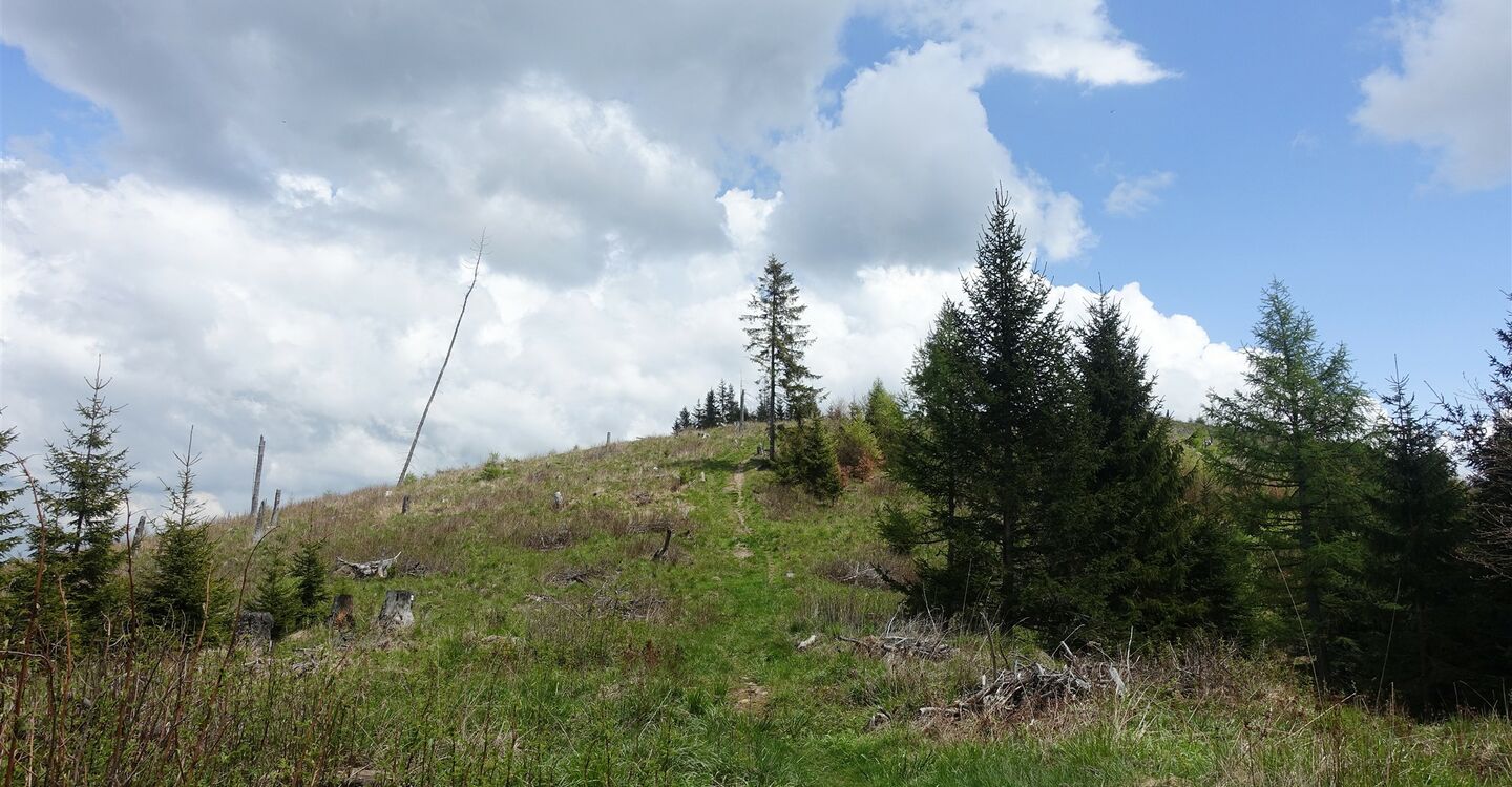 WTA 1008 3 Viel Natur erwartet uns auf diesem Wanderweg