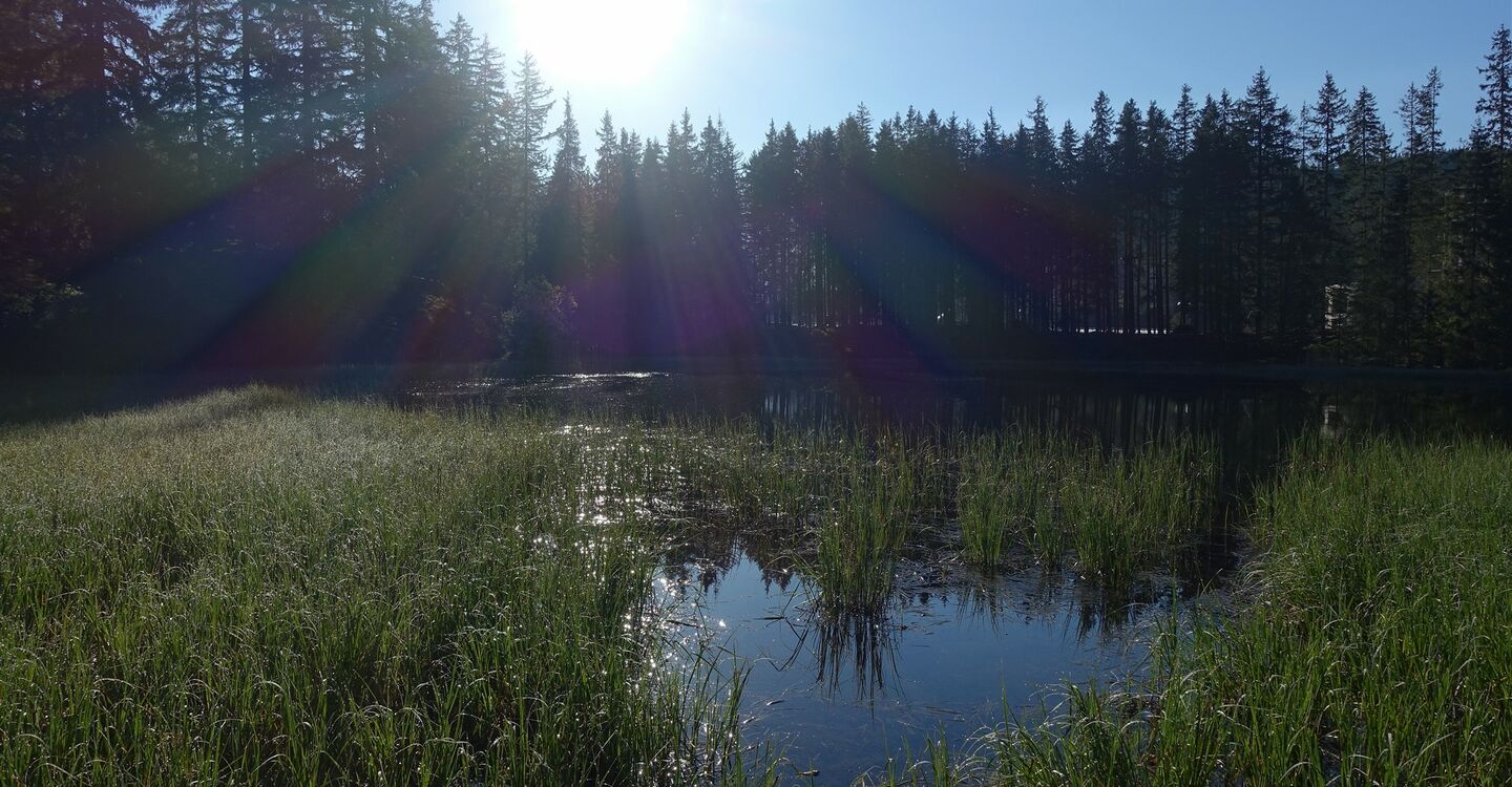 WTA 1015 3 Naturimpressionen I am Vrbické Pleso