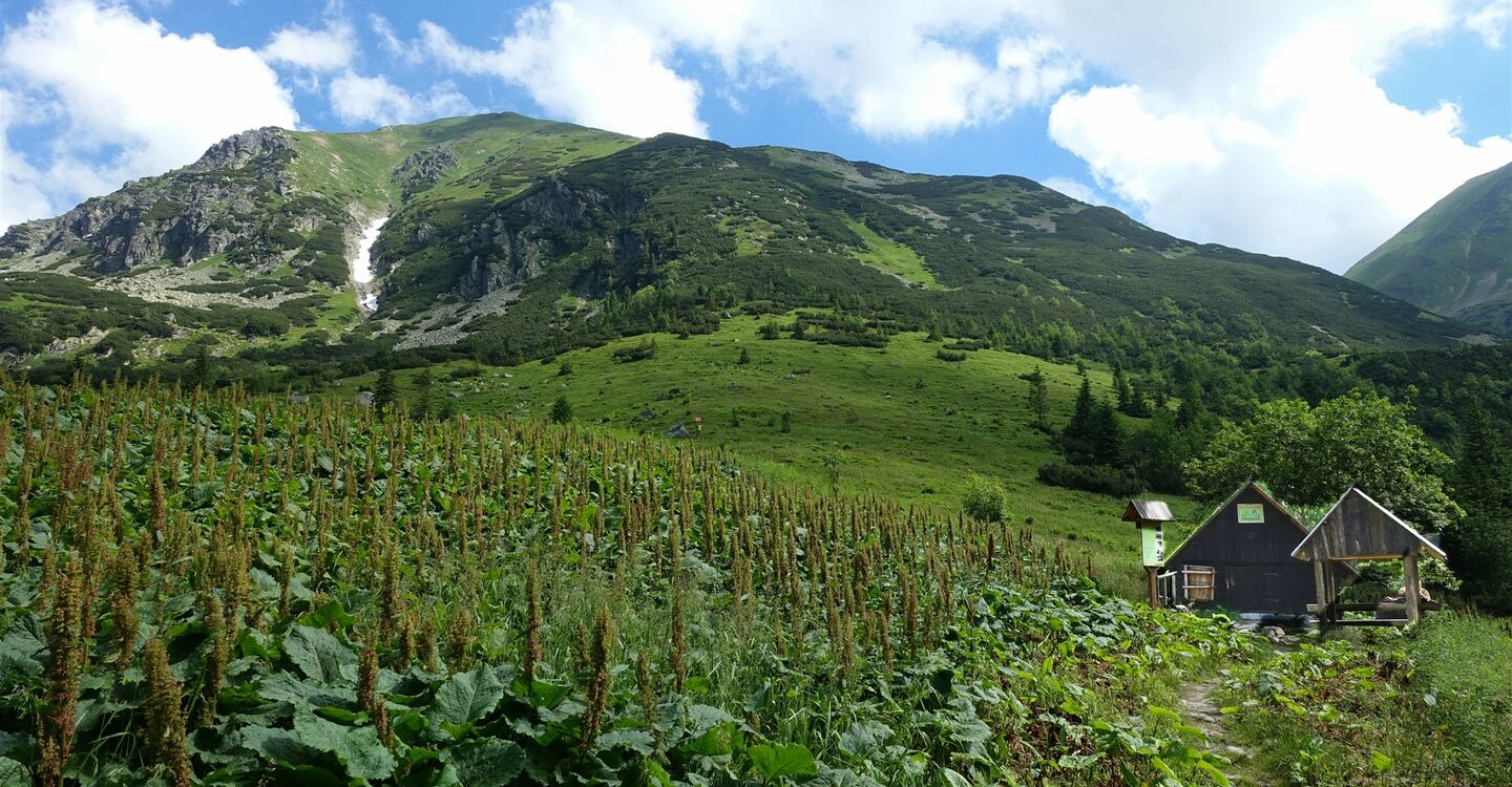 WTA 1036 1 Blick vom Koliba pod Klinom in die umliegende Bergwelt