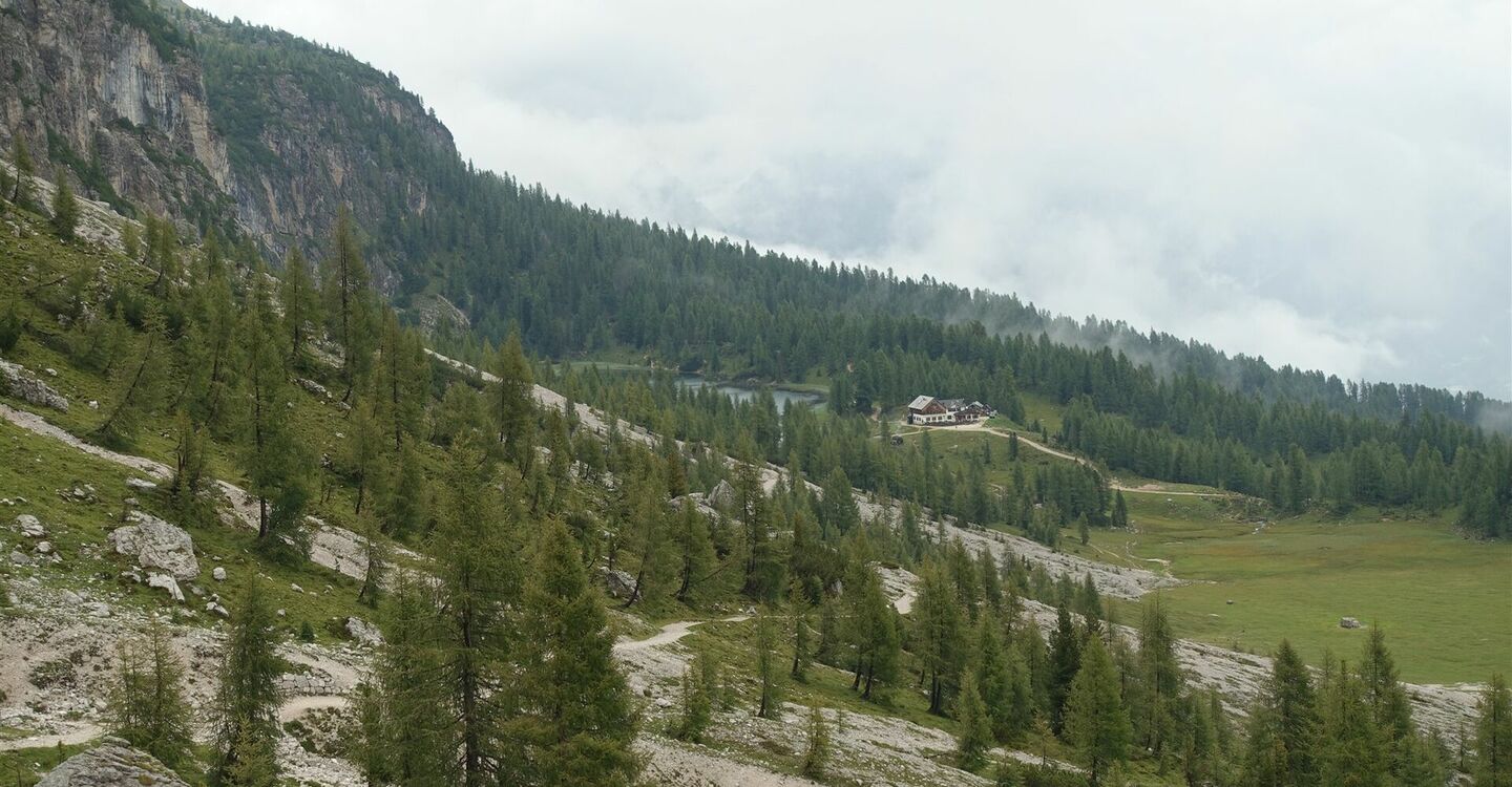 WKB1 1010 1 Das Rifugio Croda da Lago versteckt im Wald.