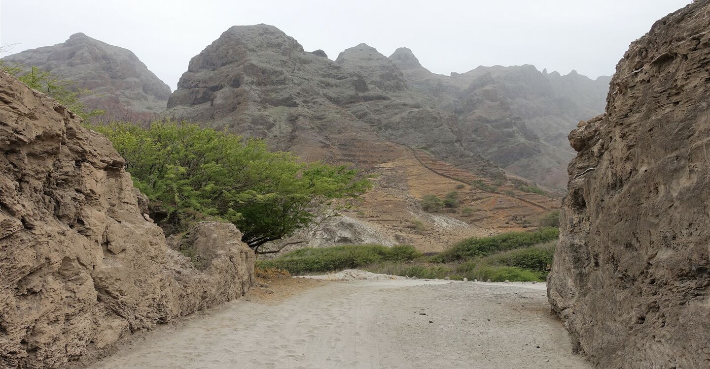 WKB 1019 4 Der Weg der aus dem Ribeiro de Mocho führt