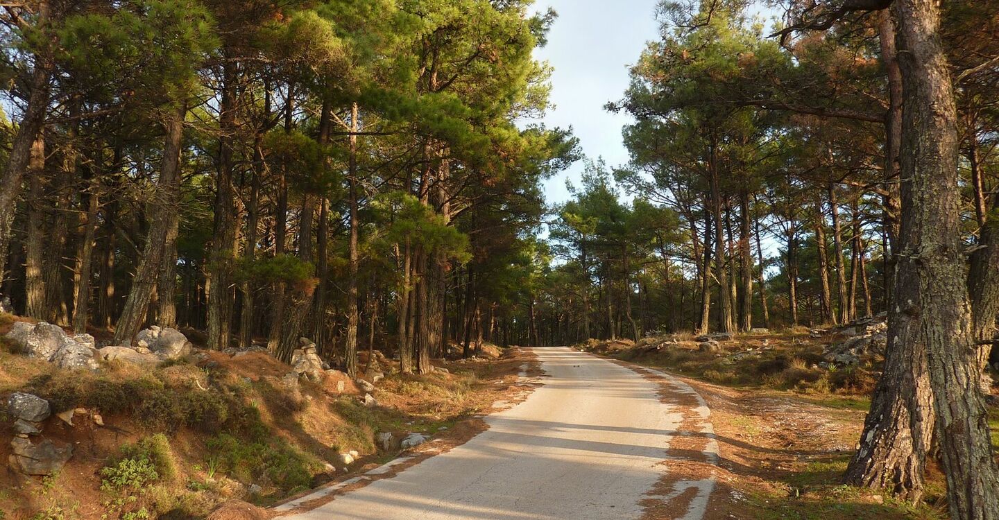 WRH 1029 5 Rückweg auf der Forststraße vom Canyon Plouma