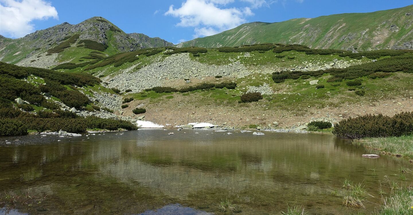 WTA 1036 4  Der idyllisch gelegene Nižné Bystré pleso unterhalb des gle