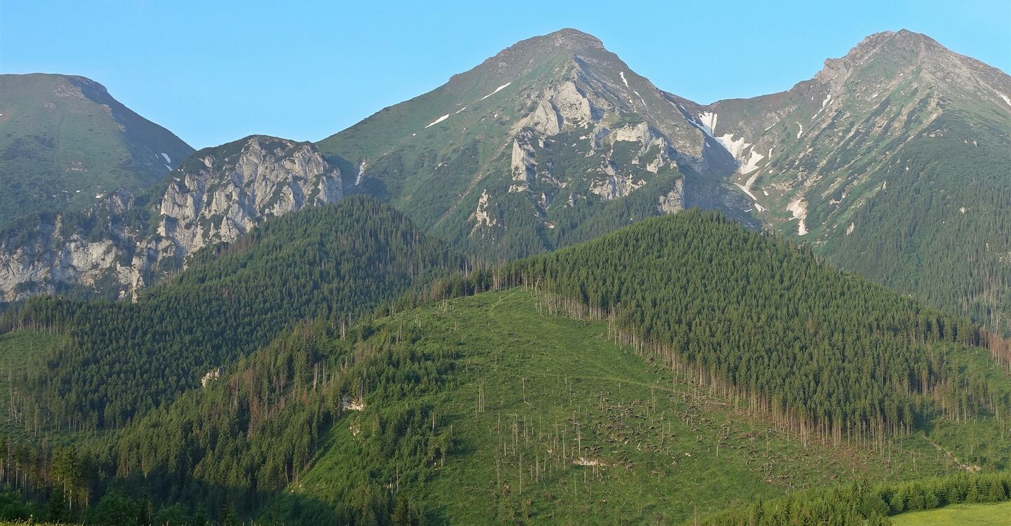 WTA 1059 1 Belaer Tatra und der 2142 m hohe Ždiarska vidla (links) und der 2152 m hohe Havran.