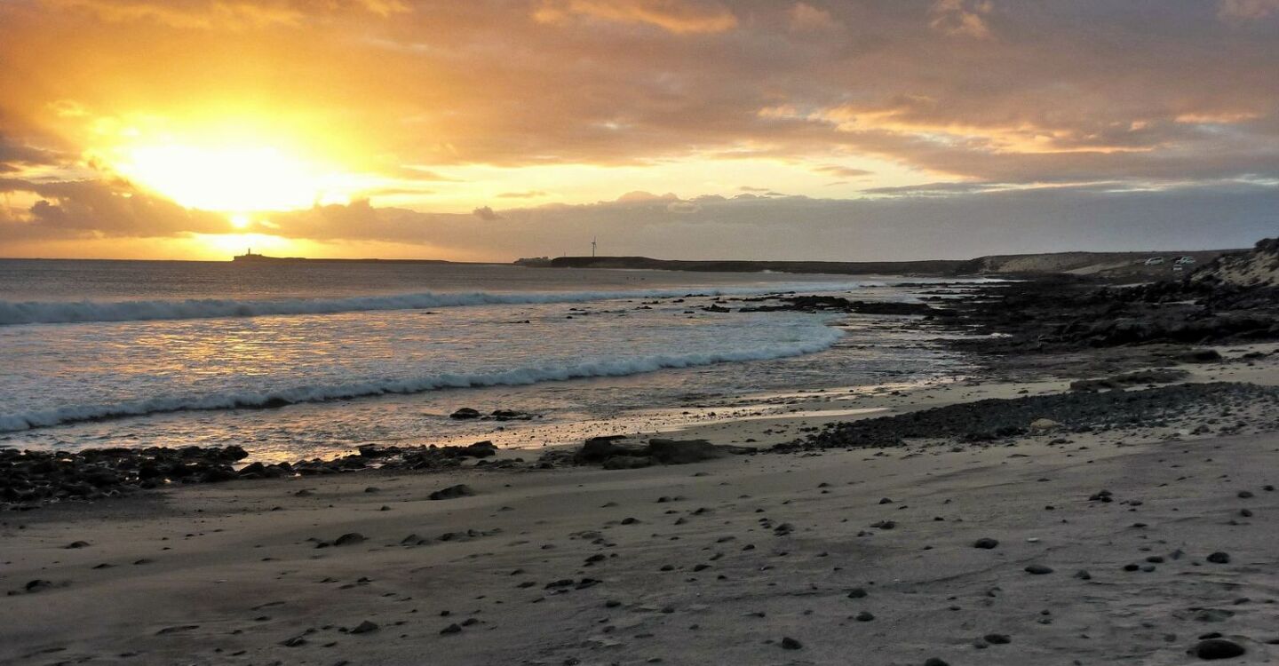 WFF 1067 3 FFuerteventura Punta Salina
